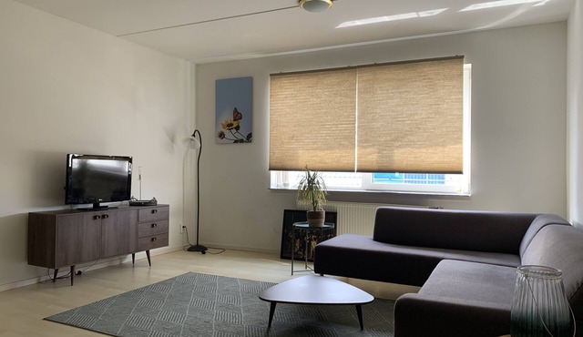Windmill Beach Apartment Amsterdam - Zaanse Schans