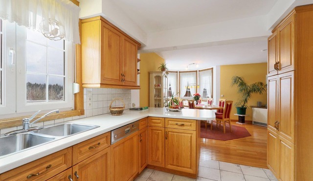 Windmill" holiday villa with wallbox