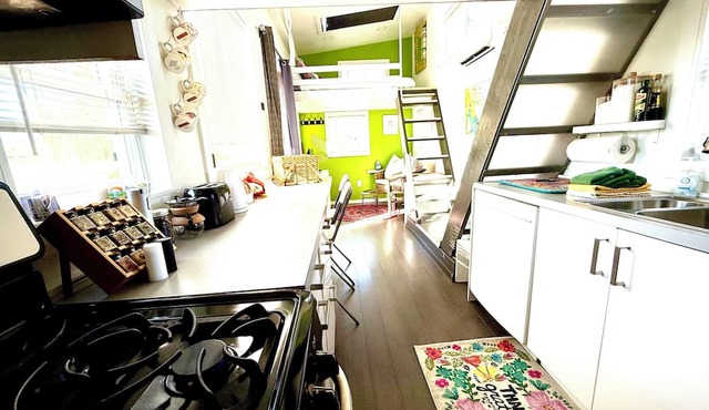 Wing In It | 1 Bed, 1 Bath