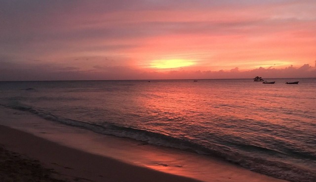 Winter/Spring Bookings! Anidele Spice - 1BR in Historic Holetown near Beach/Pool