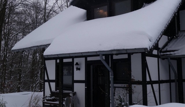 Winterberg, quiet, comfortable 4-person vacation home in the Neuastenberg ski village