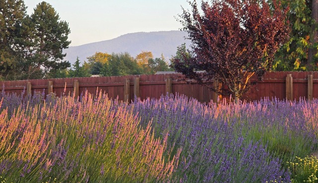 “Wise Old Owl Retreat – Spacious, Serene & Minutes from Every Olympic Wonder”