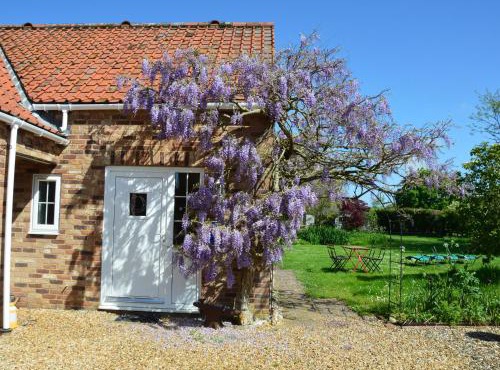 Wisteria Cottage
