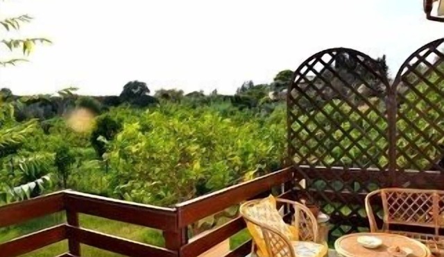 Without Seeing Sicily It Is Impossible To Understand Italy, Sicily Is The Key To Evrything
