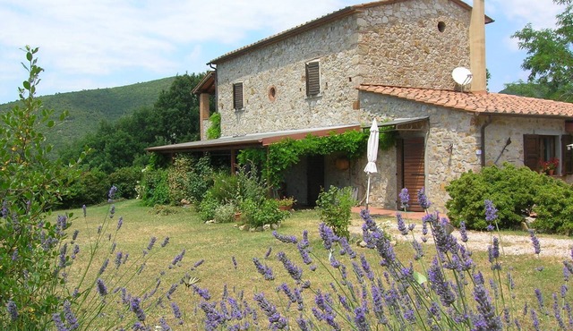 Wohnung Grecale in Castellina Marittima by Interhome