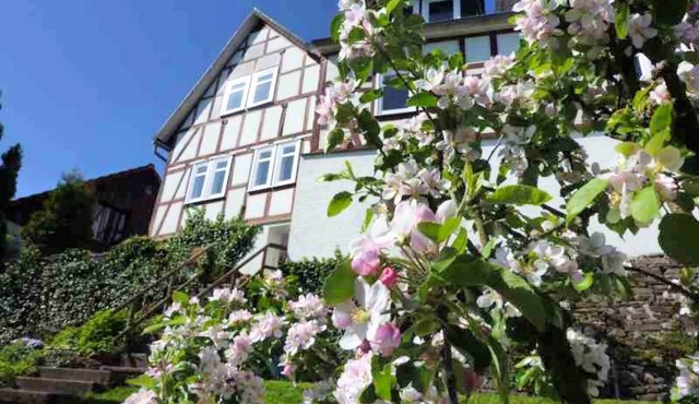 Wohnung in der Nähe des Skigebietes Battenberg