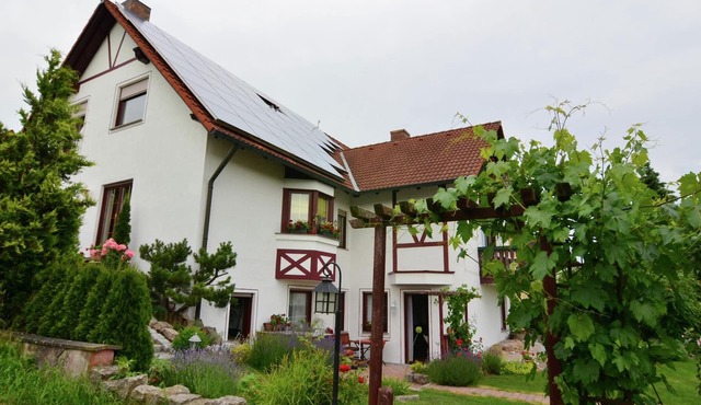 Wohnung mit Terrasse in Zeil am Main