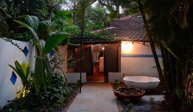 Woke Arpora