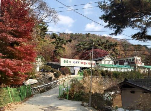 Wolbyeok Town