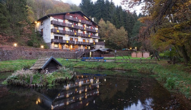 Wolffhotel