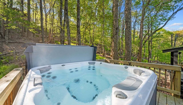 Wolfman Lodge - hot tub, fire pit, newly updated, trails, ski