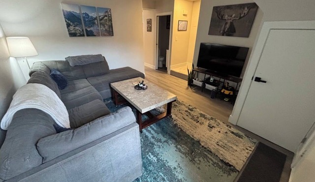 Wonderful 2-bedroom townhome in Leadville - 30+ night rental