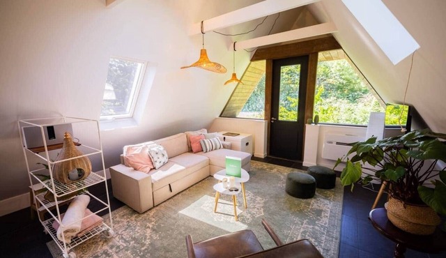 Wonderful 50m² Loft with Balcony (KS-8)