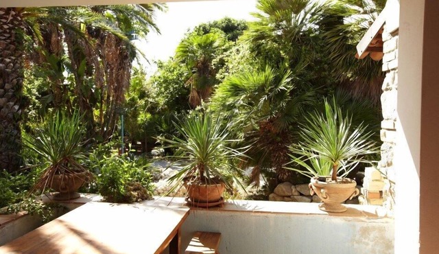 Wonderful Villa Surrounded by Lush Greenery Peacefully Located Beach Close