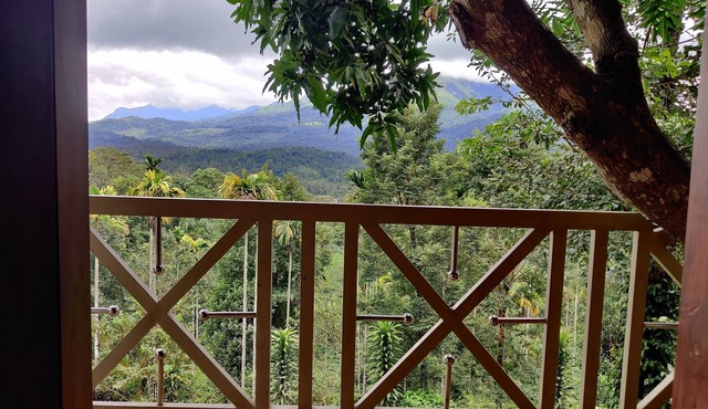 woodrose resort