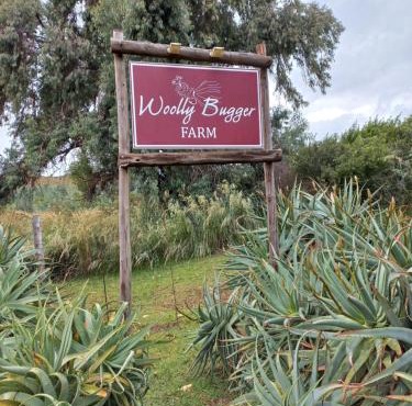 Woolly Bugger Farm