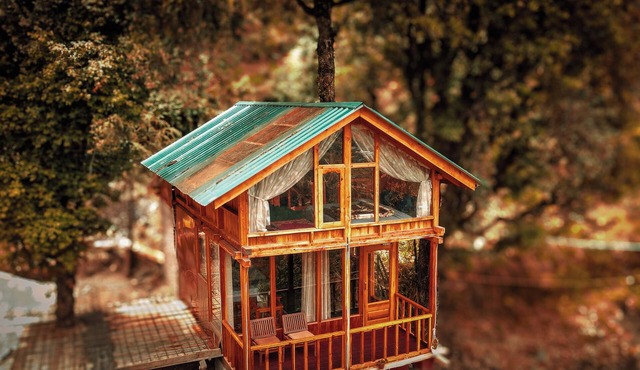 WOW DUPLEX TREEHOUSE
