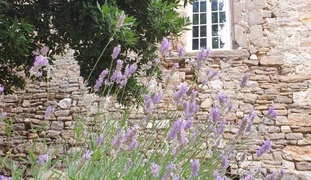 XIth century castle
