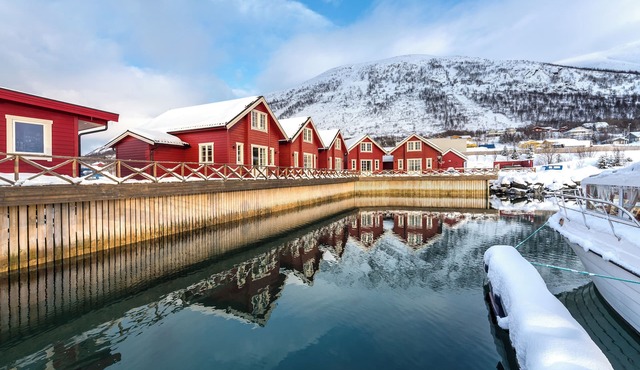 XLyngen