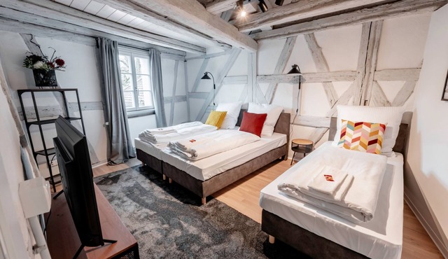 Xzllenz on 90sqm #Modern#Balcony#Fachwerk#Netflix