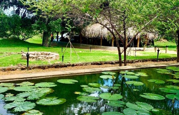 Yaalu Yaala Safari Camp