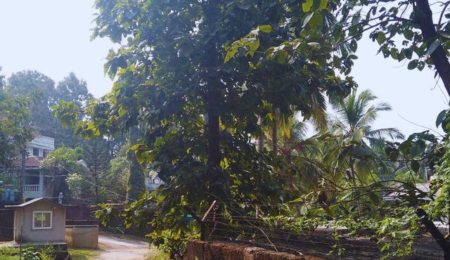 Yago's Hideout - Tranquil Apartment near Bogmalo, Goa