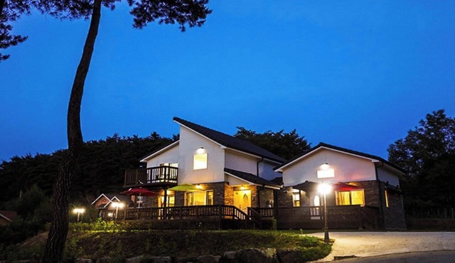Yangyang Mono Tree Pension