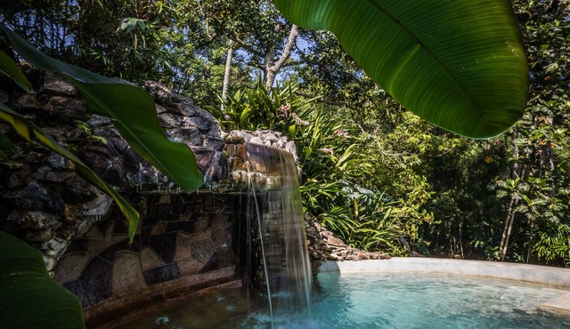 Yasmin Hill Longevity Oasis