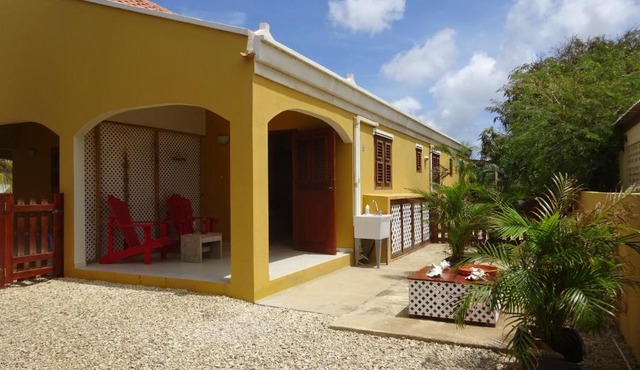 Yellow Palms