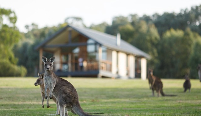 Yering Gorge Cottages