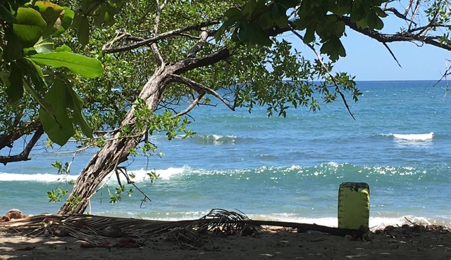 You Imagine Costa Rica Our Location Being on the Beach is What You Imagine