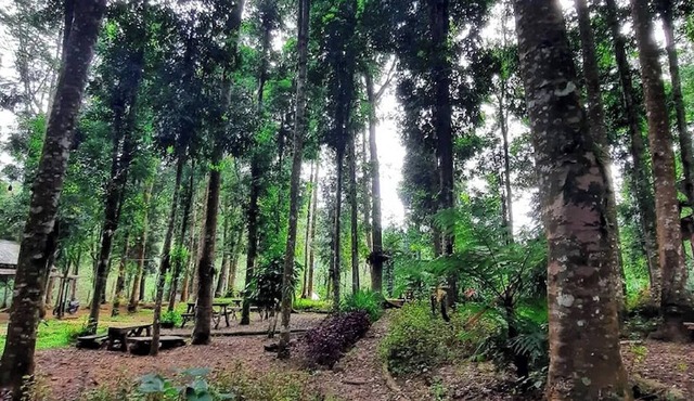 Youlien Campsite