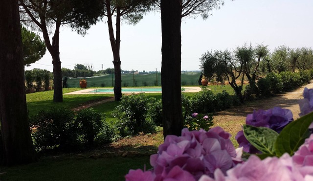 Your dream in Tuscany-truly relaxing in Tuscany perfect for families and friends