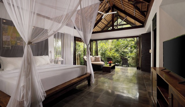 Your Private Suite in a Jungle Sanctuary