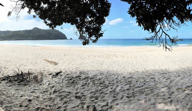 “Your Stress-Free Beach Break in Matarangi”