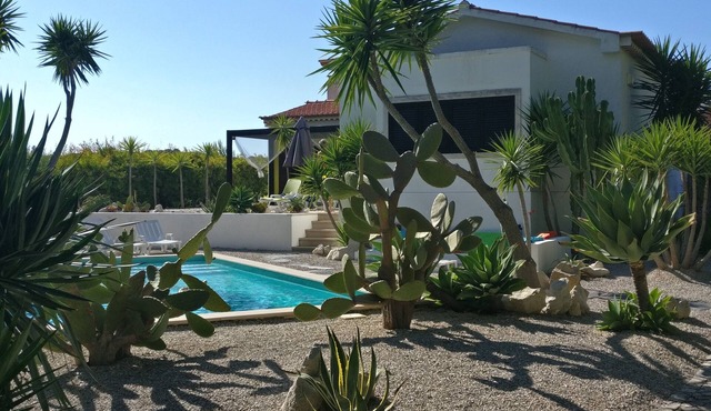 Yuccas House