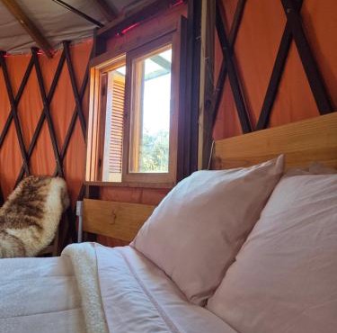 Yurt confortável na natureza