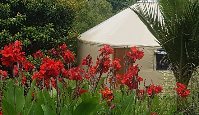Yurt in Thames