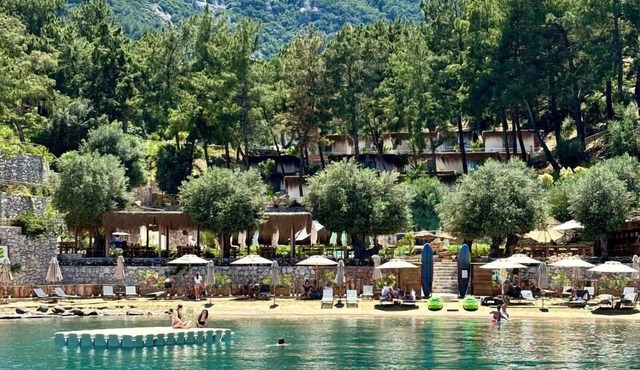 Z-Villas