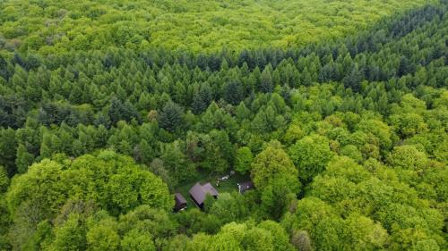ZADA nature lounge