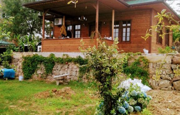 Zahi Bungalov