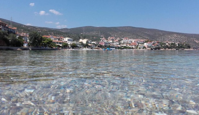 Zavitsa