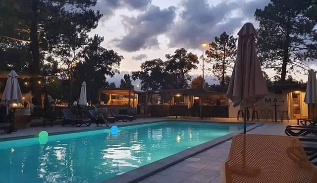 ZEcamping 3 étoiles piscine pet friendly locatif BBQ 26m2 4 pers
