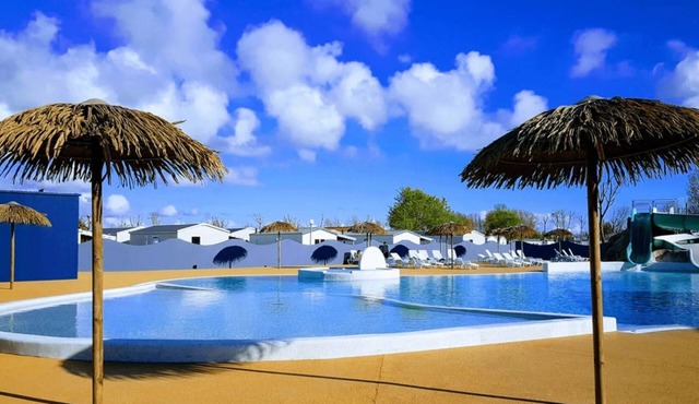 ZEcamping 4* pet friendly terrain multisports piscine couverte