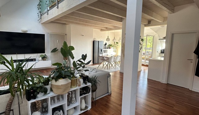 Zentrales Sonnendurchflutetes Loft
