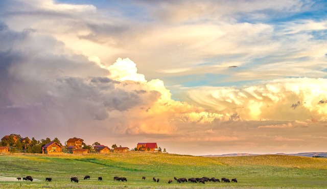Zion Mountain Ranch