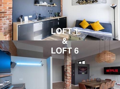 Zwei Lofts in Kulturdenkmal nähe Zentrum (VI+I)