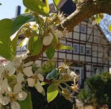 Zwischen Acker und Herz Hartmannshof