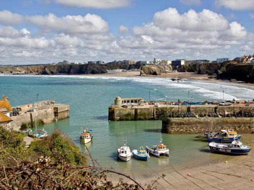 Harbour 