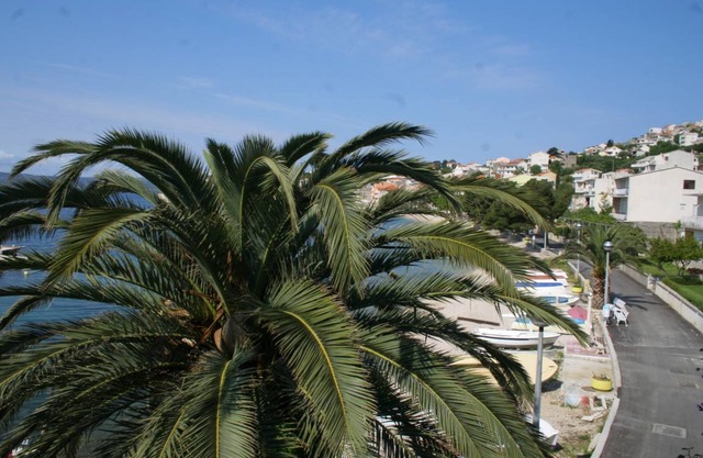 19 m² Studio flat ∙ 1 bedroom ∙ 2 guests